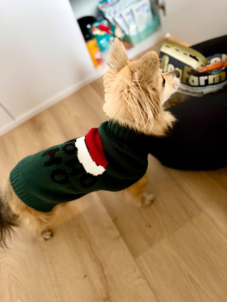 TheDanielGrothe's tweet image. 🎄 One Christmas wish.

Not for me. For Mikey. 🐾

All I want this Christmas is a little more time with him. If you’ve ever loved a dog like family… you get it.

❤️ Help keep Mikey with us.

👉 gofund.me/b99f92f54

danielgrothe.us/save-mikey/