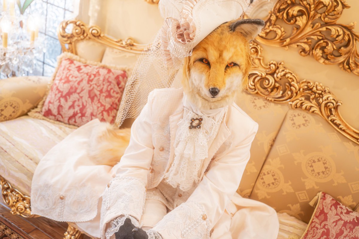 金色のオーラ
見えてます？✨

📷<a href="/cat_makina/">マキナ Makina</a> 
🏠<a href="/antique4444/">アンティーク撮影スタジオ田園調布アンティークス館・都内撮影スタジオ</a> 
 #アンティーク洋館ハーフ撮影会