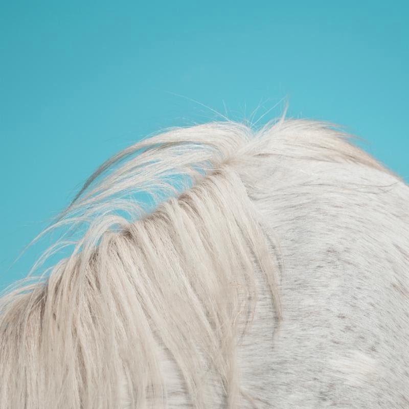 CASIO45's tweet image. #np All Yours / Widowspeak widowspeak.bandcamp.com/album/all-your…