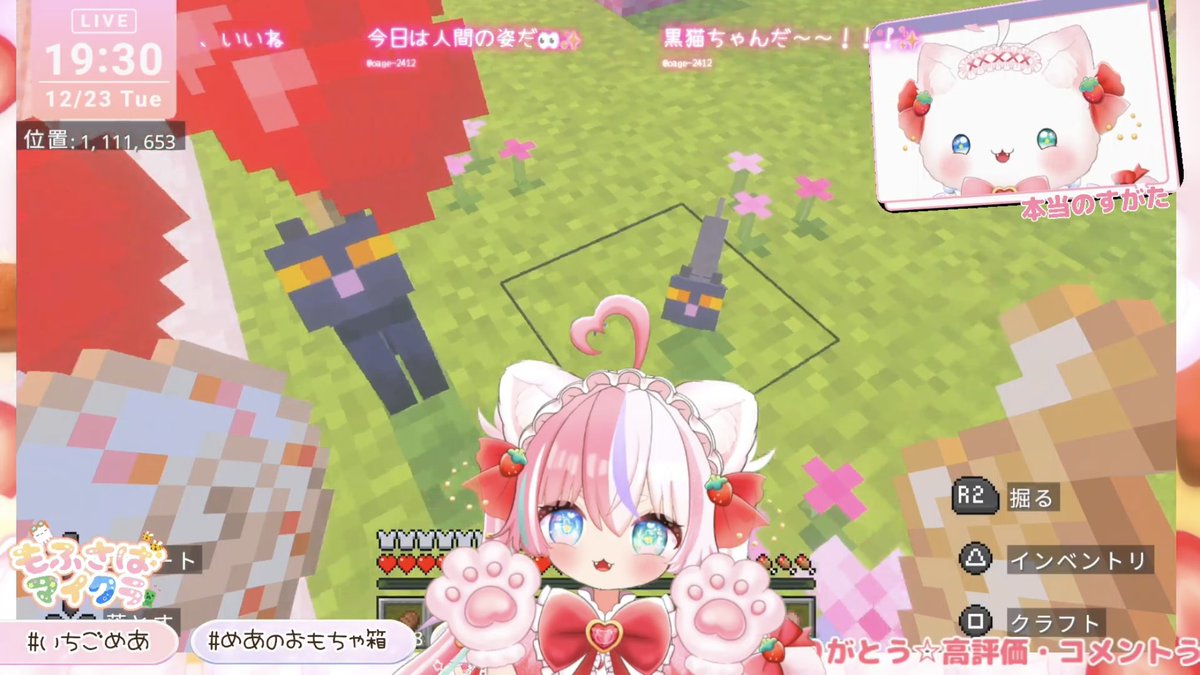 ねこちゃん♡苺 いちご猫🍓🐱 lit.link(リットリンク)