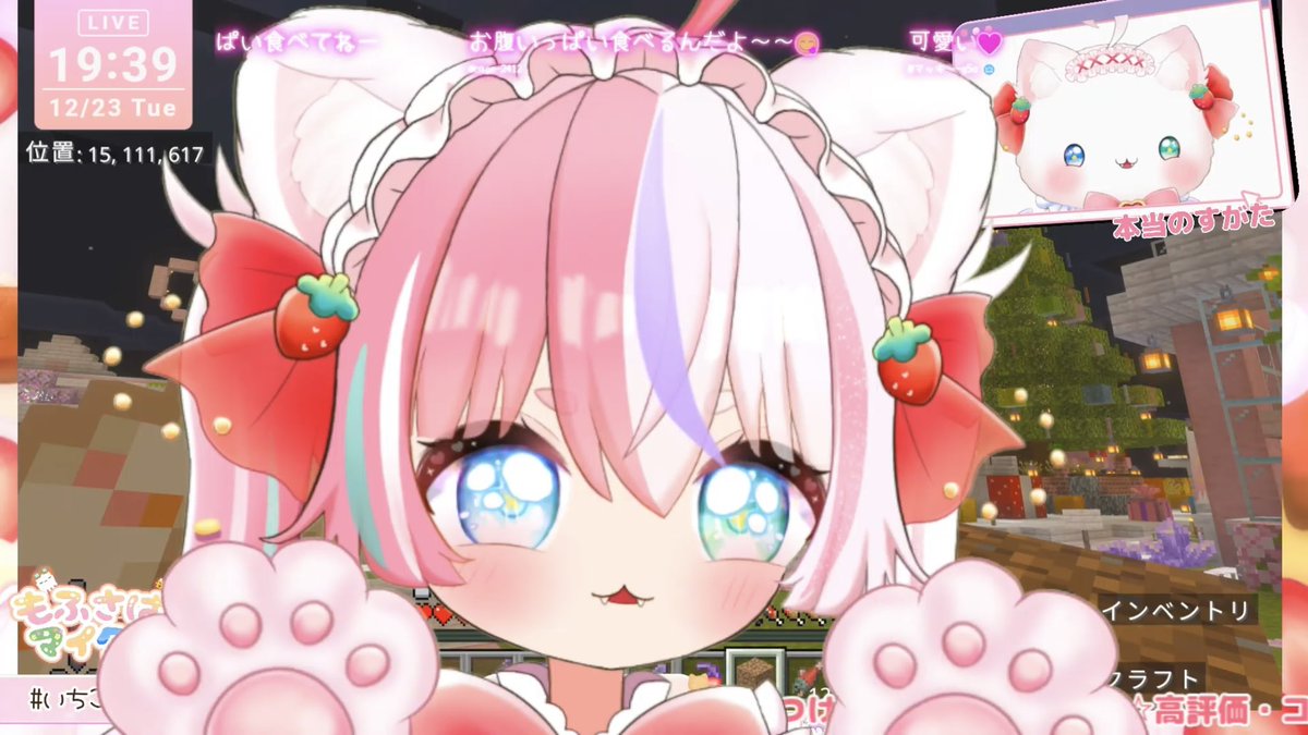 ねこちゃん♡苺 いちご猫🍓🐱 lit.link(リットリンク)