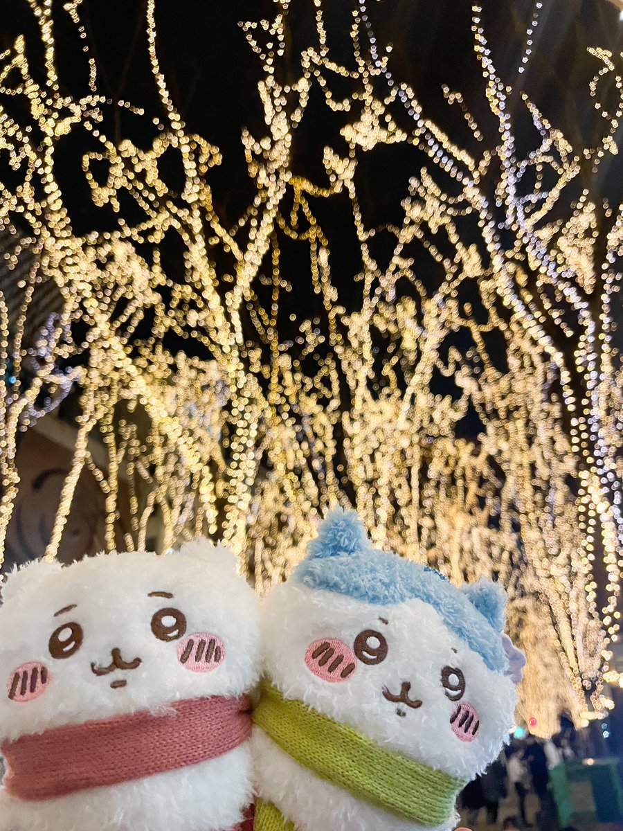 Matchako794's tweet photo. 光のページェント2025✨ https://t.co/EZUzwVrLy0