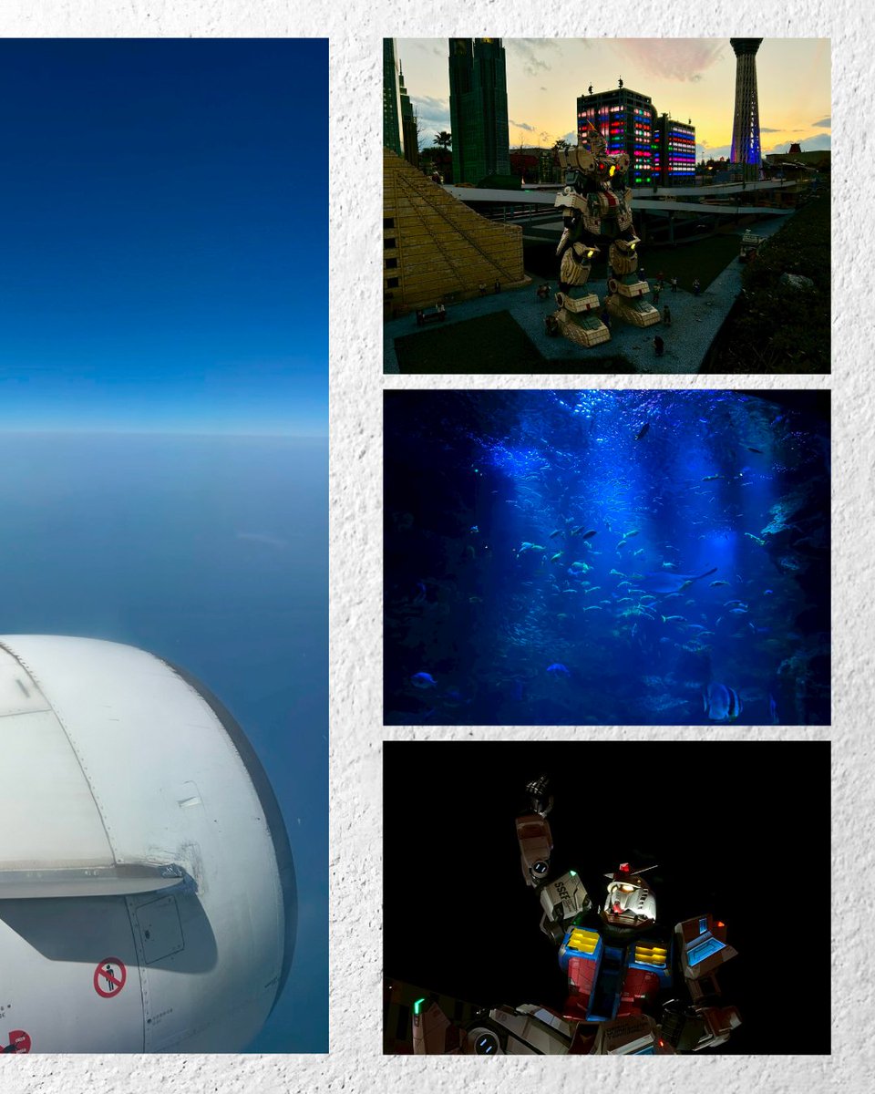 夕陽を浴びた紙飛行機がぽつん。目に映る風景は同じでも，写真部が撮るとこうなるんだ…って思わずなる一枚。
やっぱり写真の力ってすごいし，写真部もすごい。
#京都コンピュータ学院 #KCG #写真部 #サークル活動 #エモい #写真 #一瞬を切り取り #学生作品