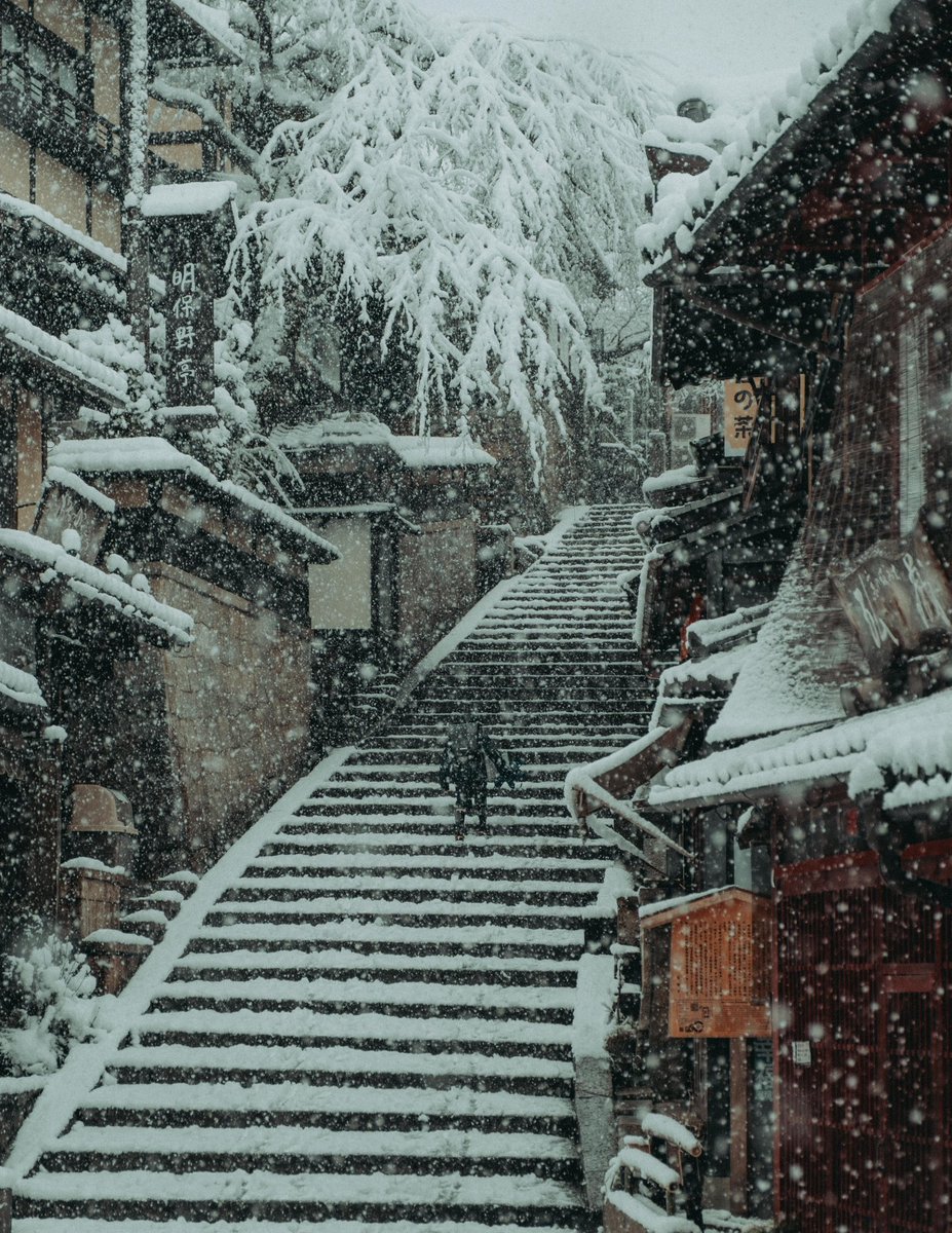 Riki Shinagawa tweet media