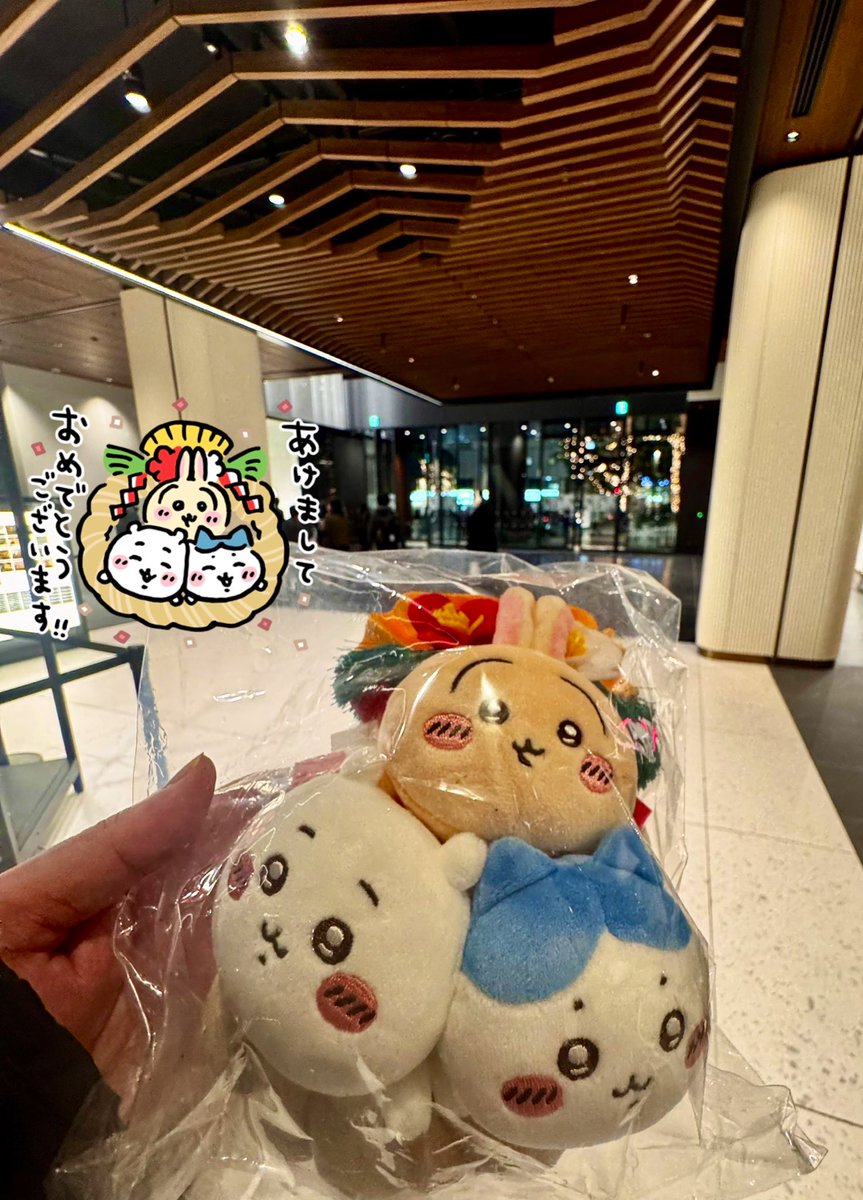 やすおページ やすお🐰 (@the_Chuo_Line) / Posts / X