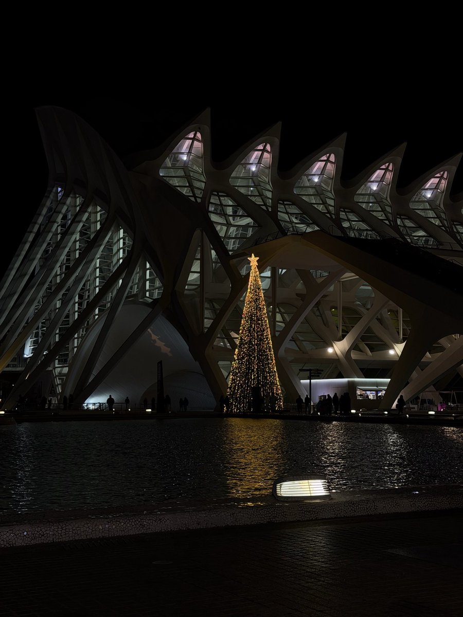 Marcosalbiol12's tweet photo. 🎄 https://t.co/IWYCep6OQx