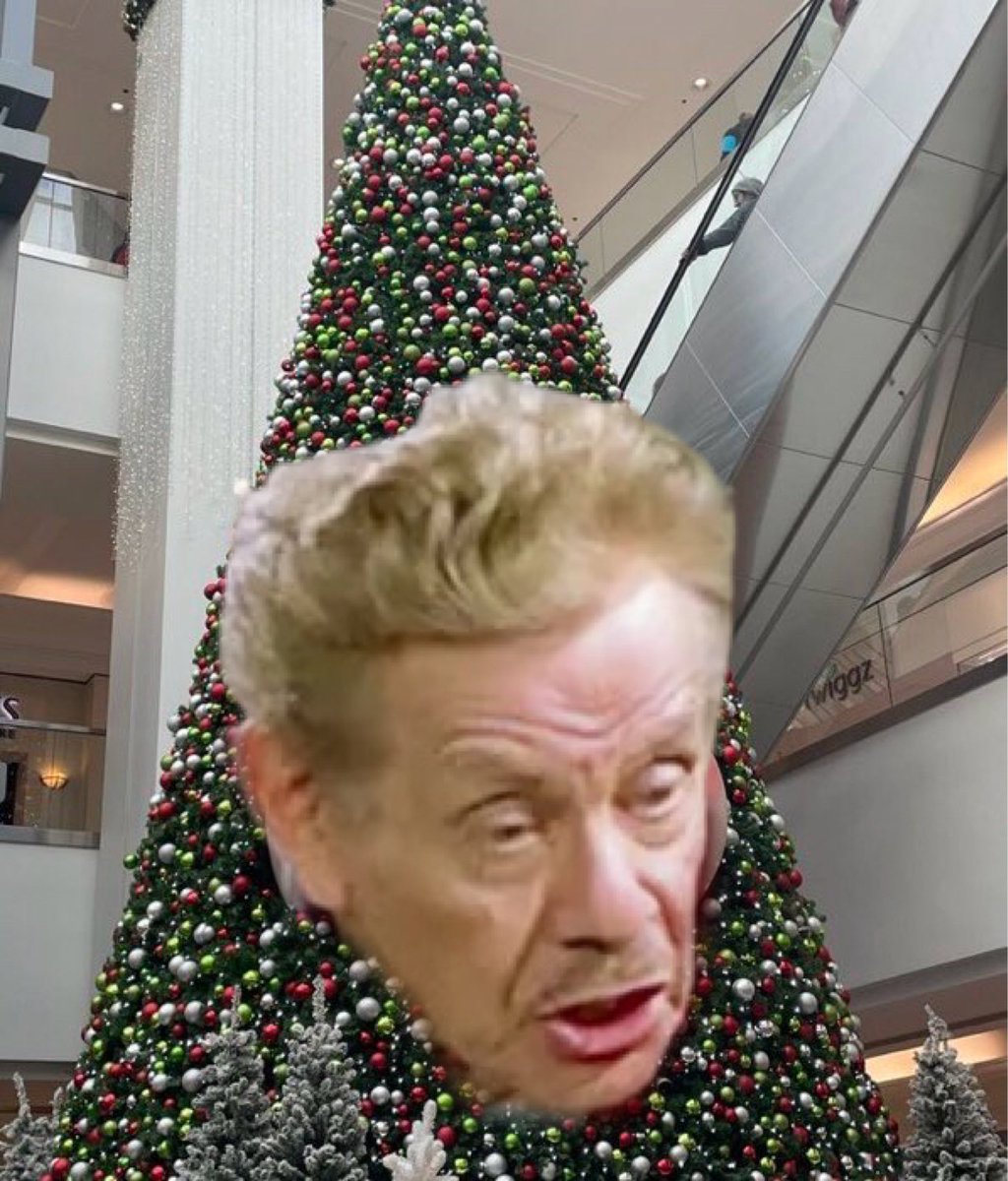 WoodyXmasTree's tweet photo. HAPPY FIRSTIVUS TO ALL WHO CELEBRATE https://t.co/HjLYu5g4XV