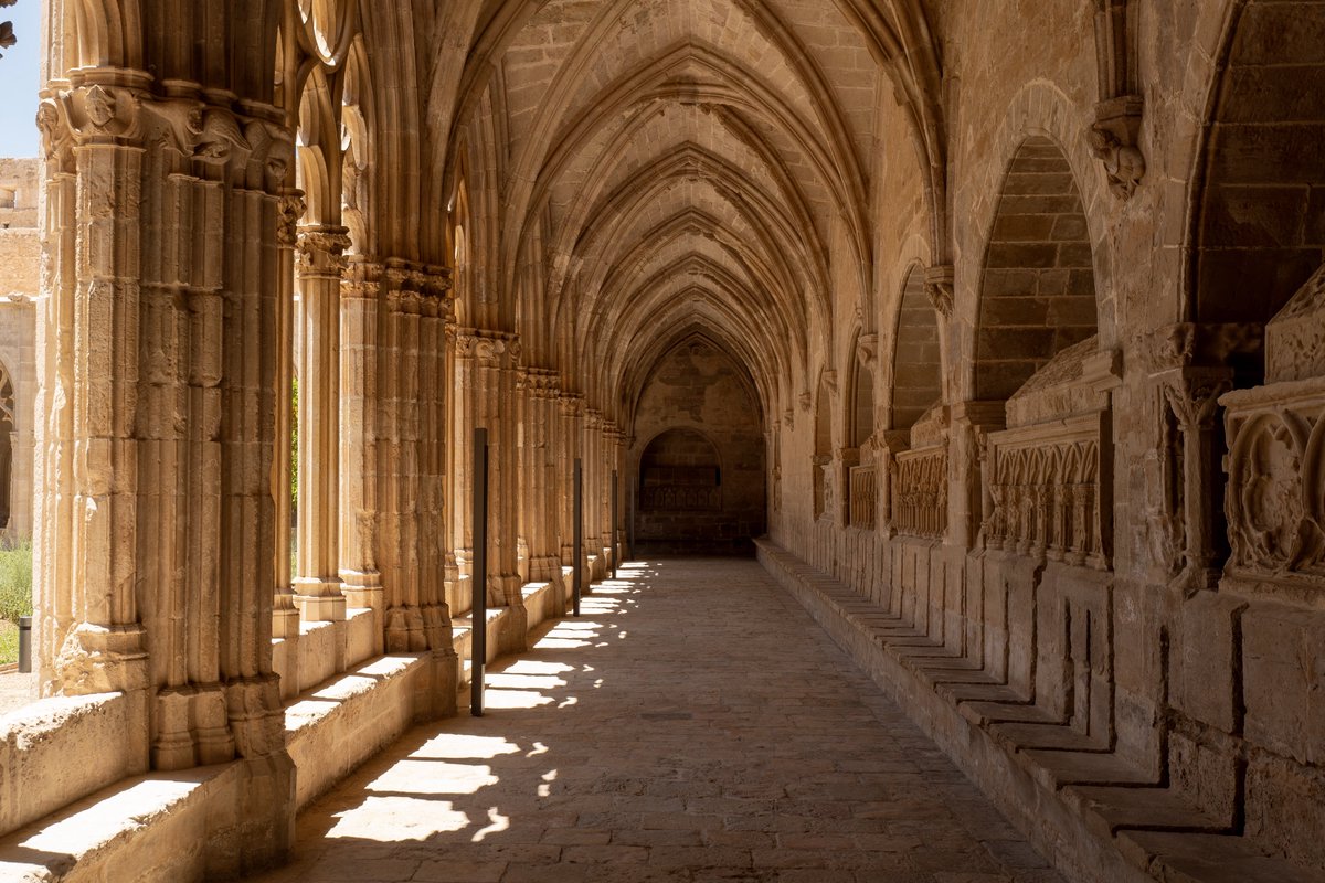 itsrapha83's tweet photo. Make cloisters a thing again https://t.co/qaiR0gBZm9