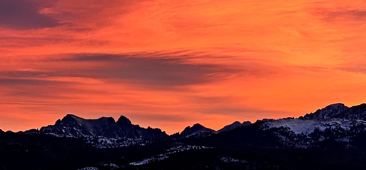 TilghmanWill's tweet image. Good morning. Hope you all have a wonderful Christmas week.