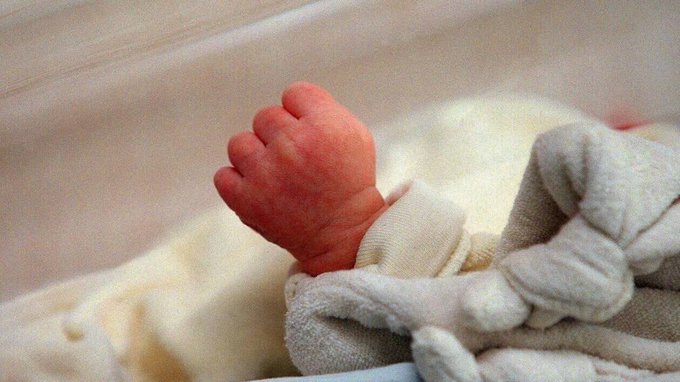 Image de l'actu de Presse Océan