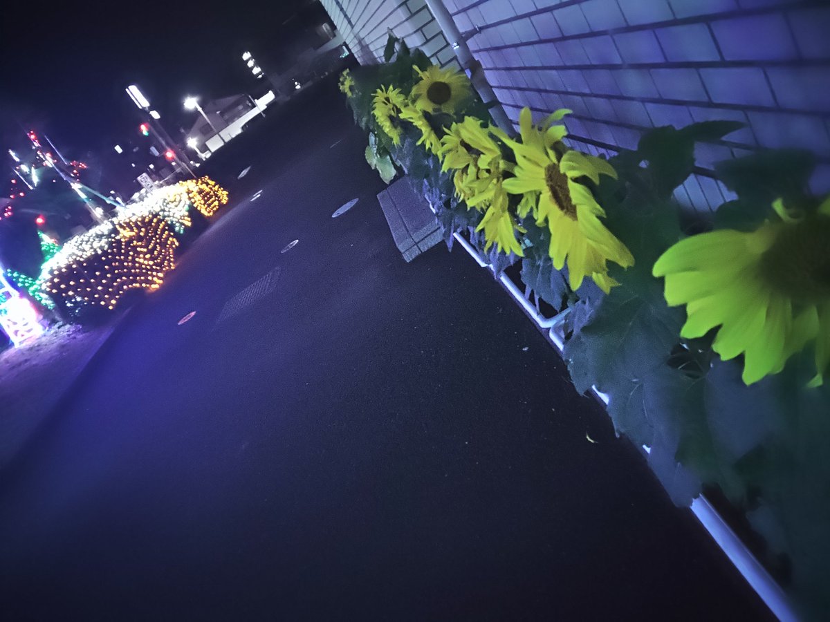 ⭐︎ひまわり⭐︎】3D機関車 イルミネーション ライト ひまわり⭐︎様