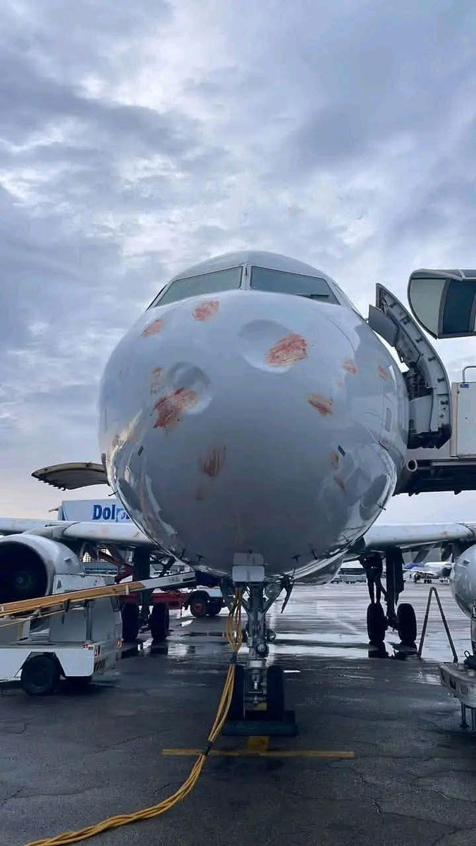 FlightMode tweet media