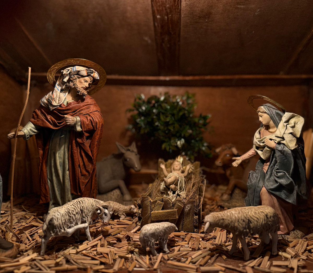 irusia2014's tweet image. FELIZ NAVIDAD DESDE GRAN CANARIA. ♥️♥️♥️♥️♥️