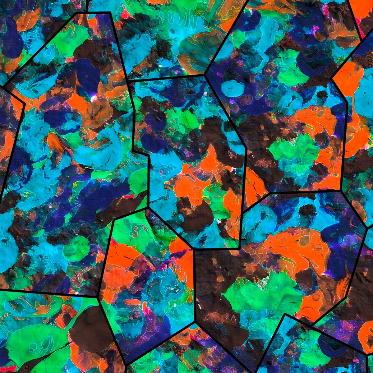 🟧BlockWeb🟧 tweet media