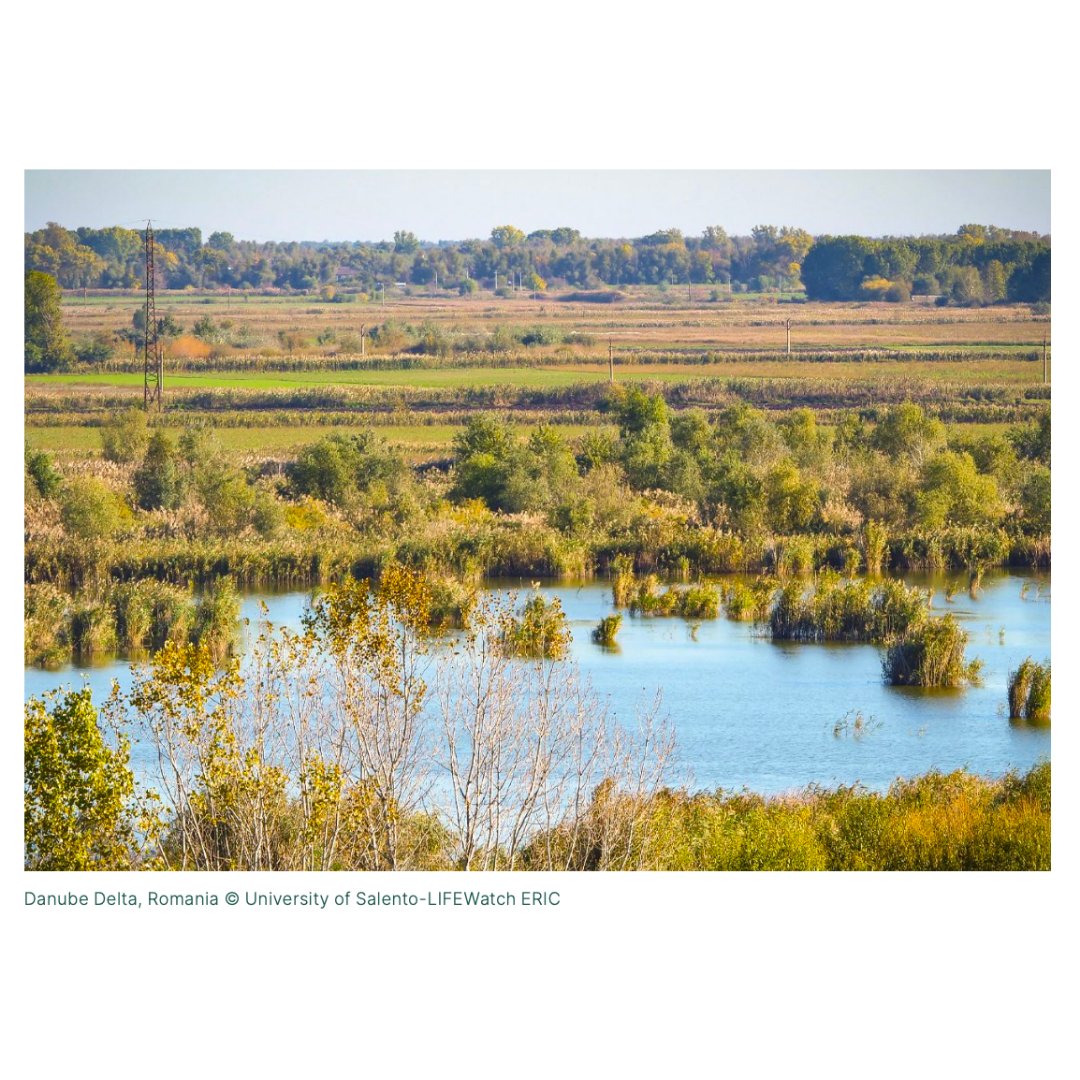 RESTORE4Cs tweet media