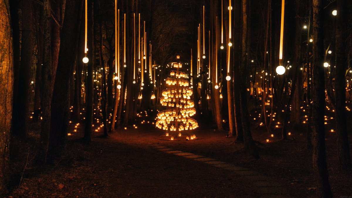 星降る森のクリスマス　☆絵画 星降る森のクリスマス」軽井沢の輝く星々の下でロマンチックな一夜を