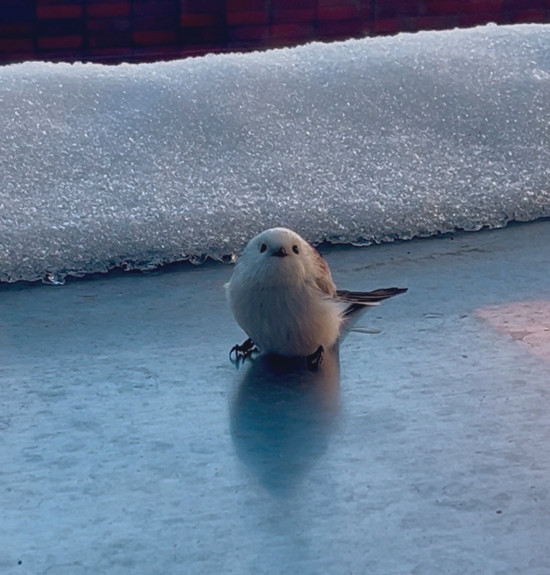 MK (@__mk) / Posts / X