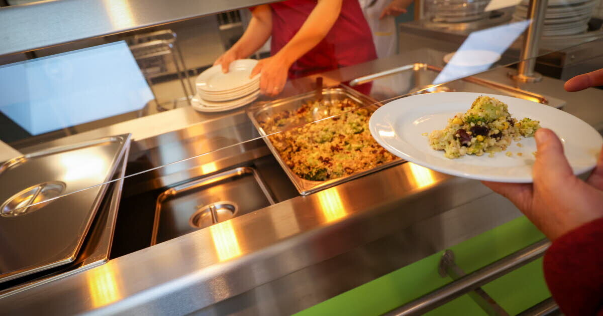 Agglomération grayloise. Dans trois cantines scolaires, du changement à la rentrée.
➡️ l.estrepublicain.fr/fPB