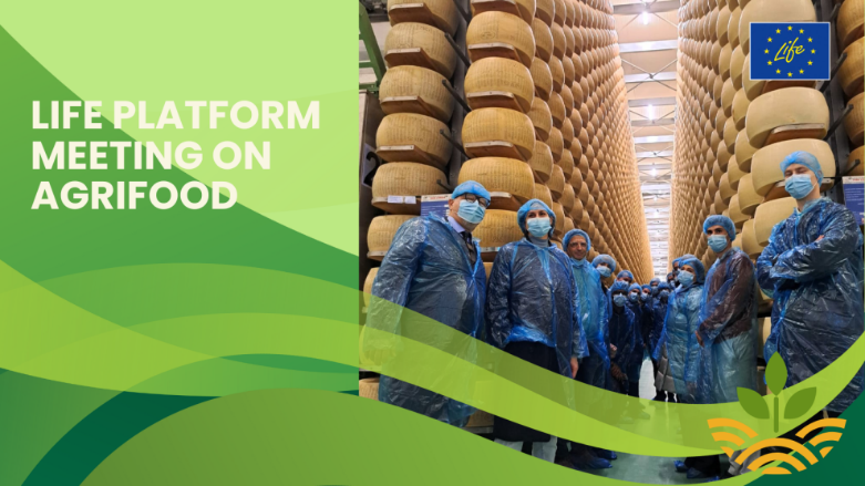 NCP LIFE IT 🇮🇹 tweet media