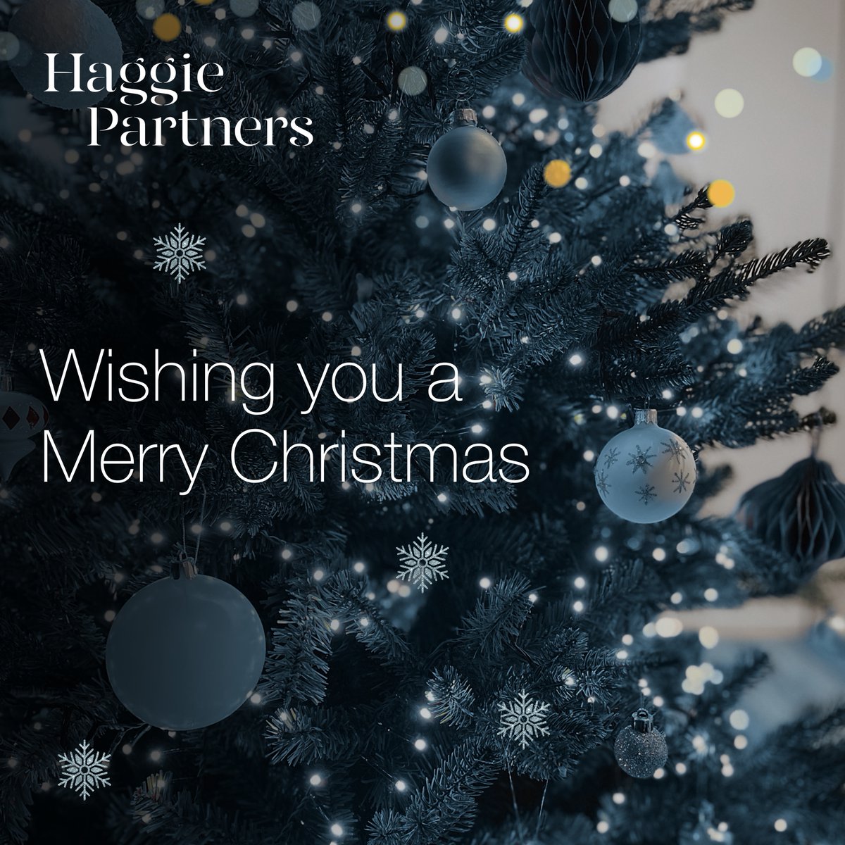 Haggie Partners tweet media