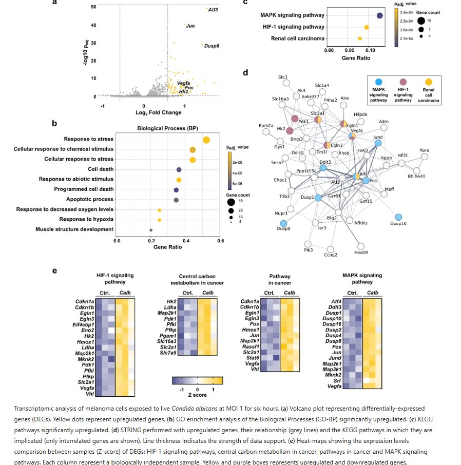 MicrobiomicsEHU tweet media