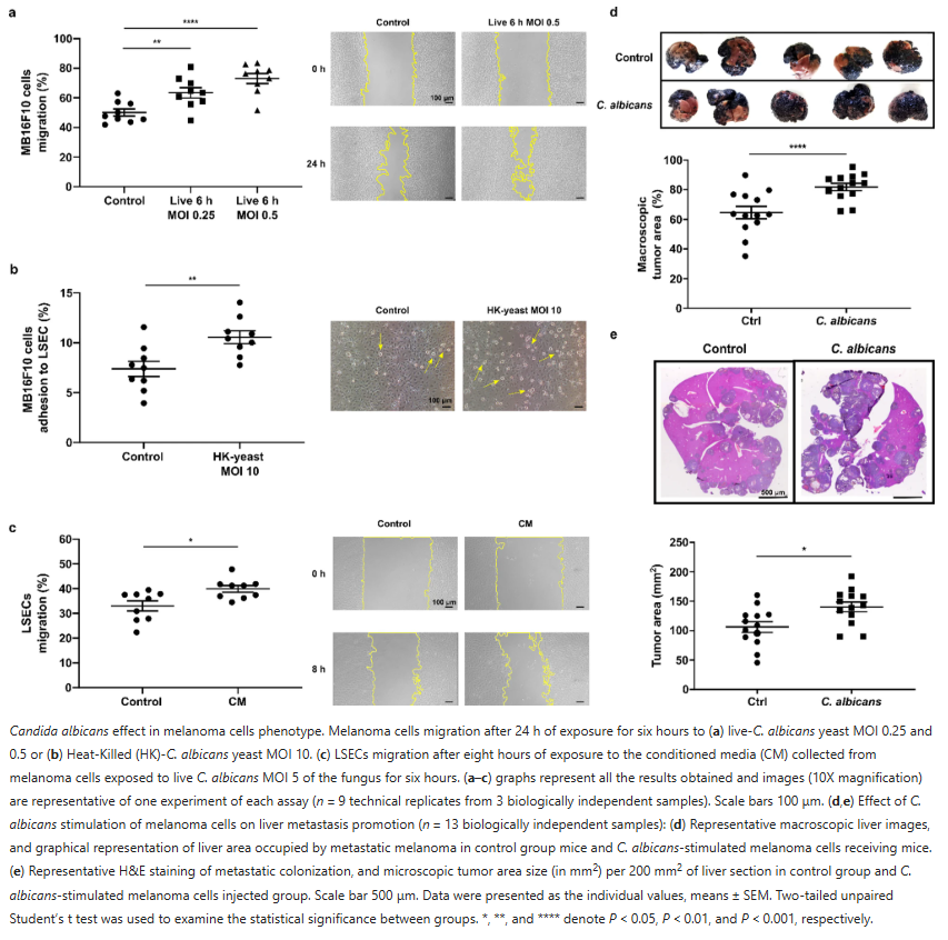 MicrobiomicsEHU tweet media