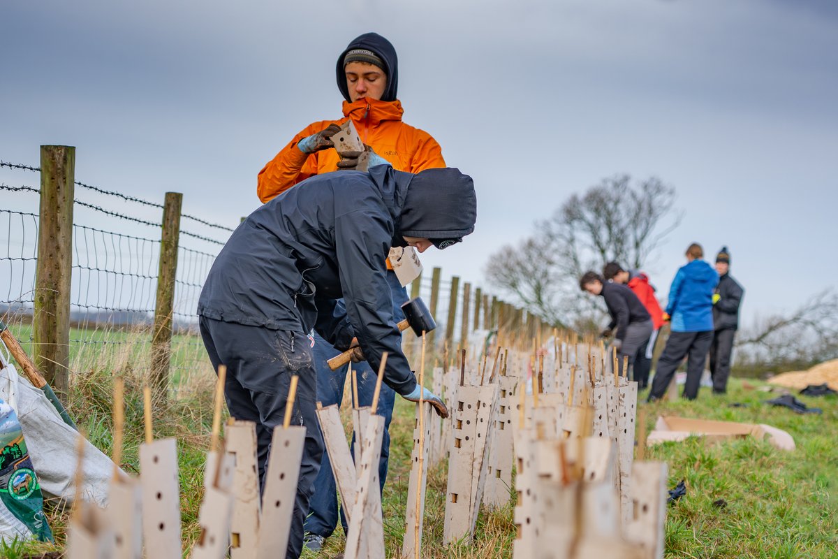 Friends of the Lake District tweet media