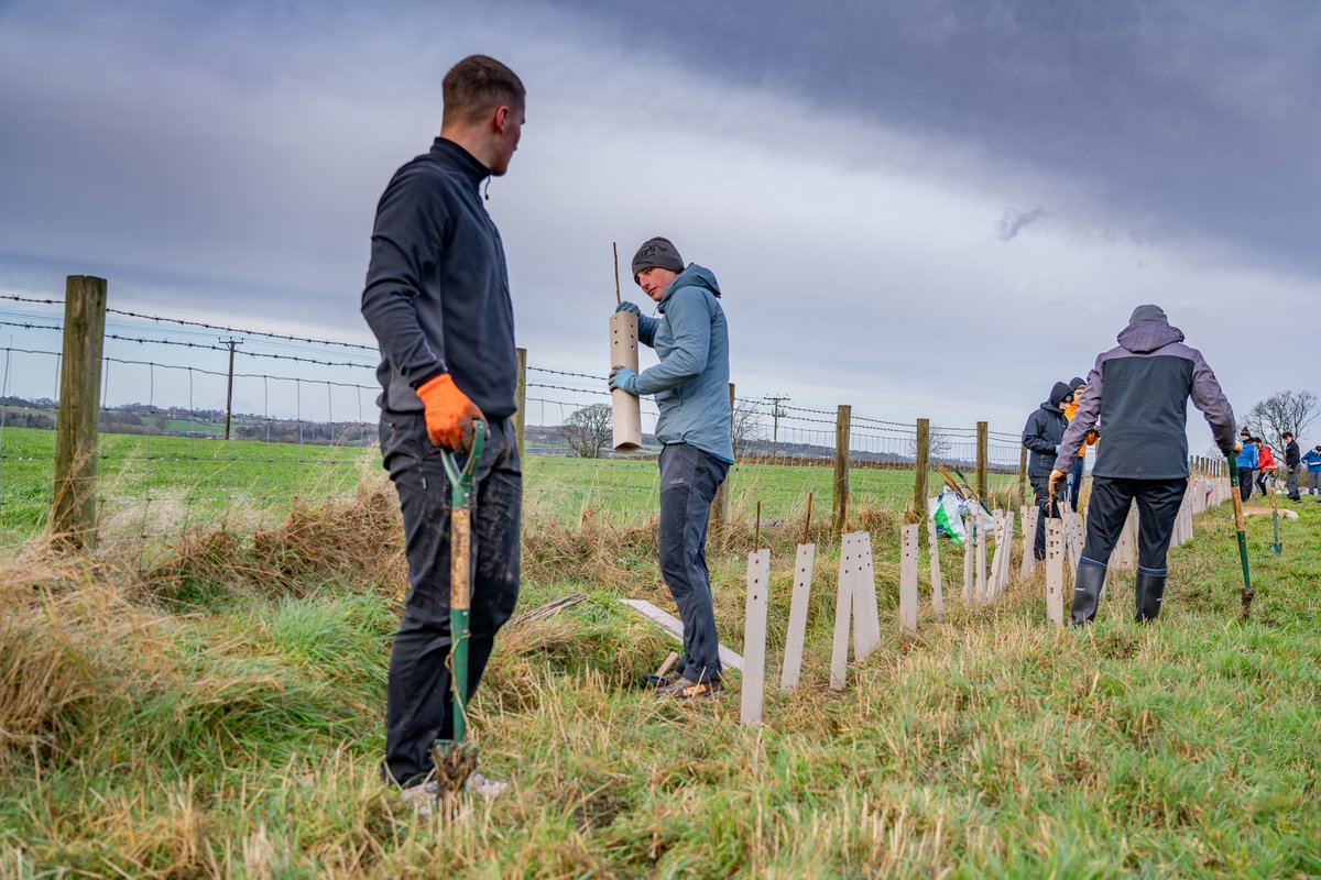 Friends of the Lake District tweet media