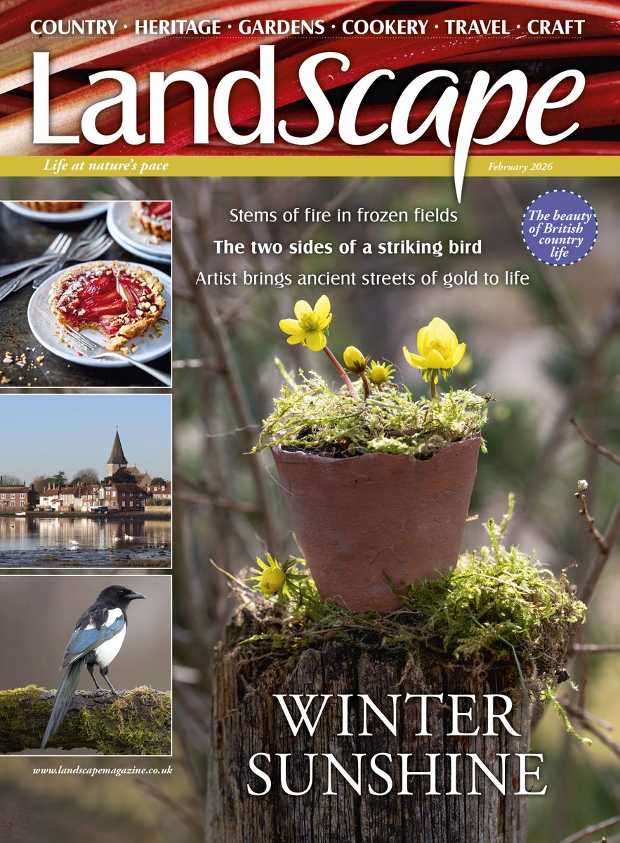 The February issue of LandScape magazine goes on sale today, packed full of delicious recipes, simple crafts and travel destinations. Subscribe today and never miss an issue: greatmagazines.co.uk/landscape-maga…