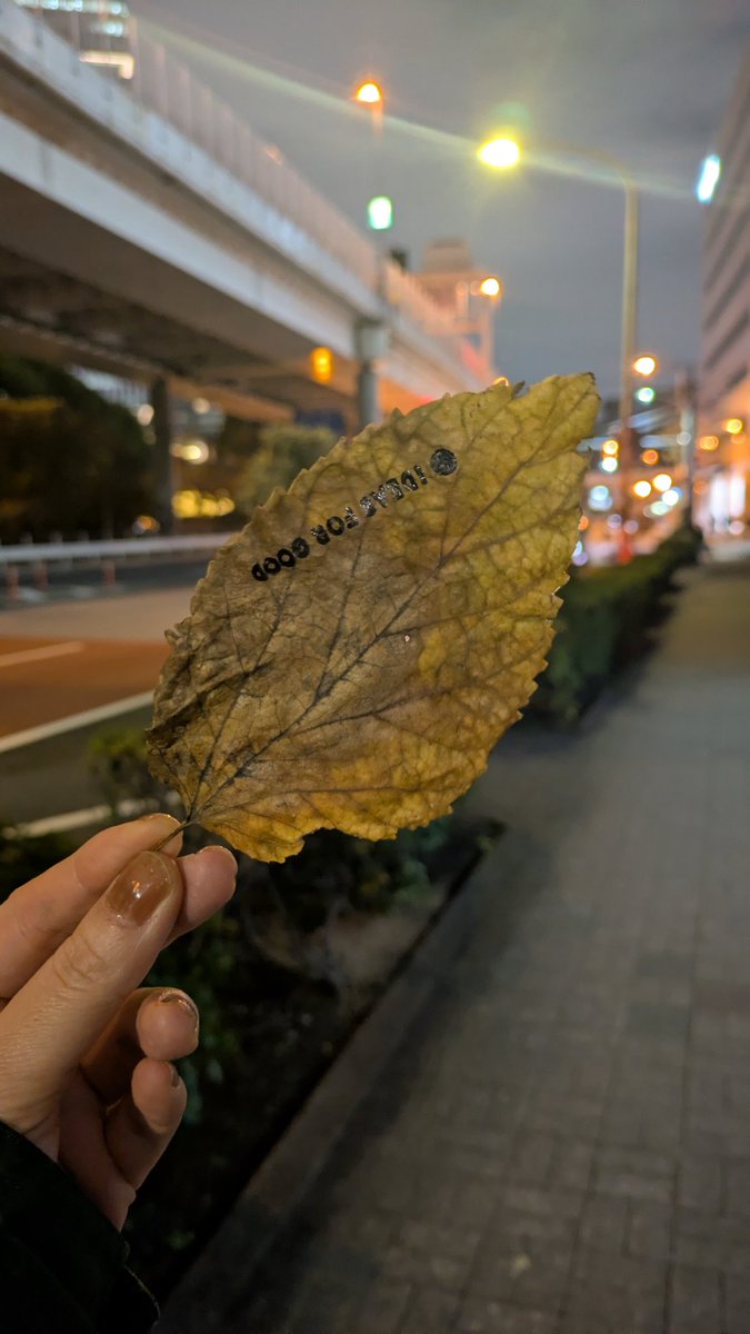 ローンチイベントで貰ってきたロゴ入り葉っぱ こういうのが結局いちばん嬉しい人間である