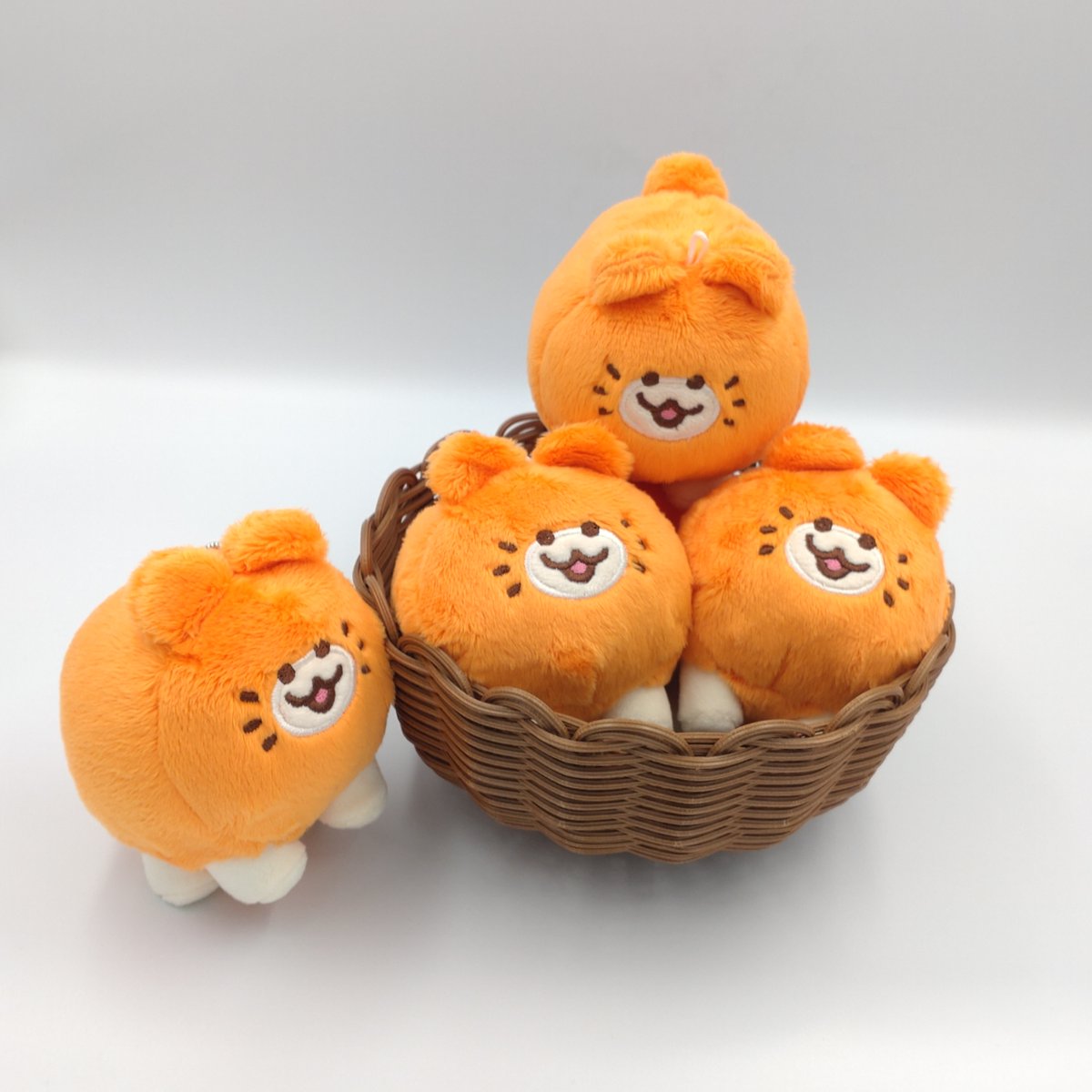 ねこみかん みかんねこ🍊🐱 (@mikanneko_cat) / Posts / X