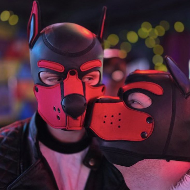Stitch Pup tweet media