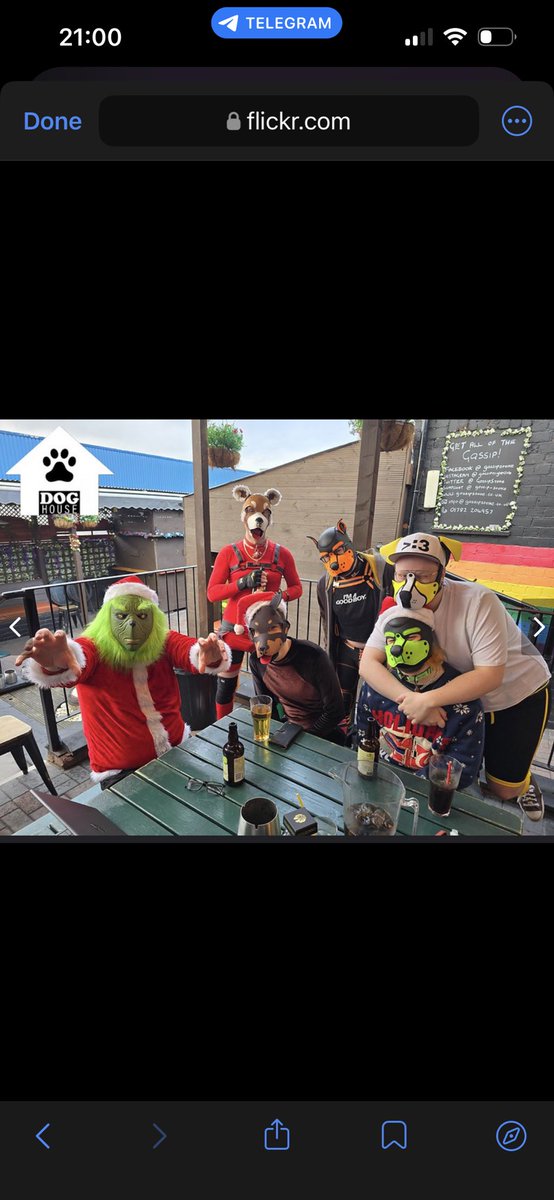 Stitch Pup tweet media