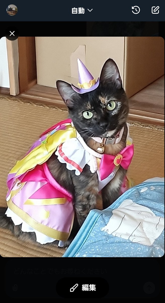 ソラママ😺😺💕 (@UcRevUwI7xf5CqS) / Posts / X