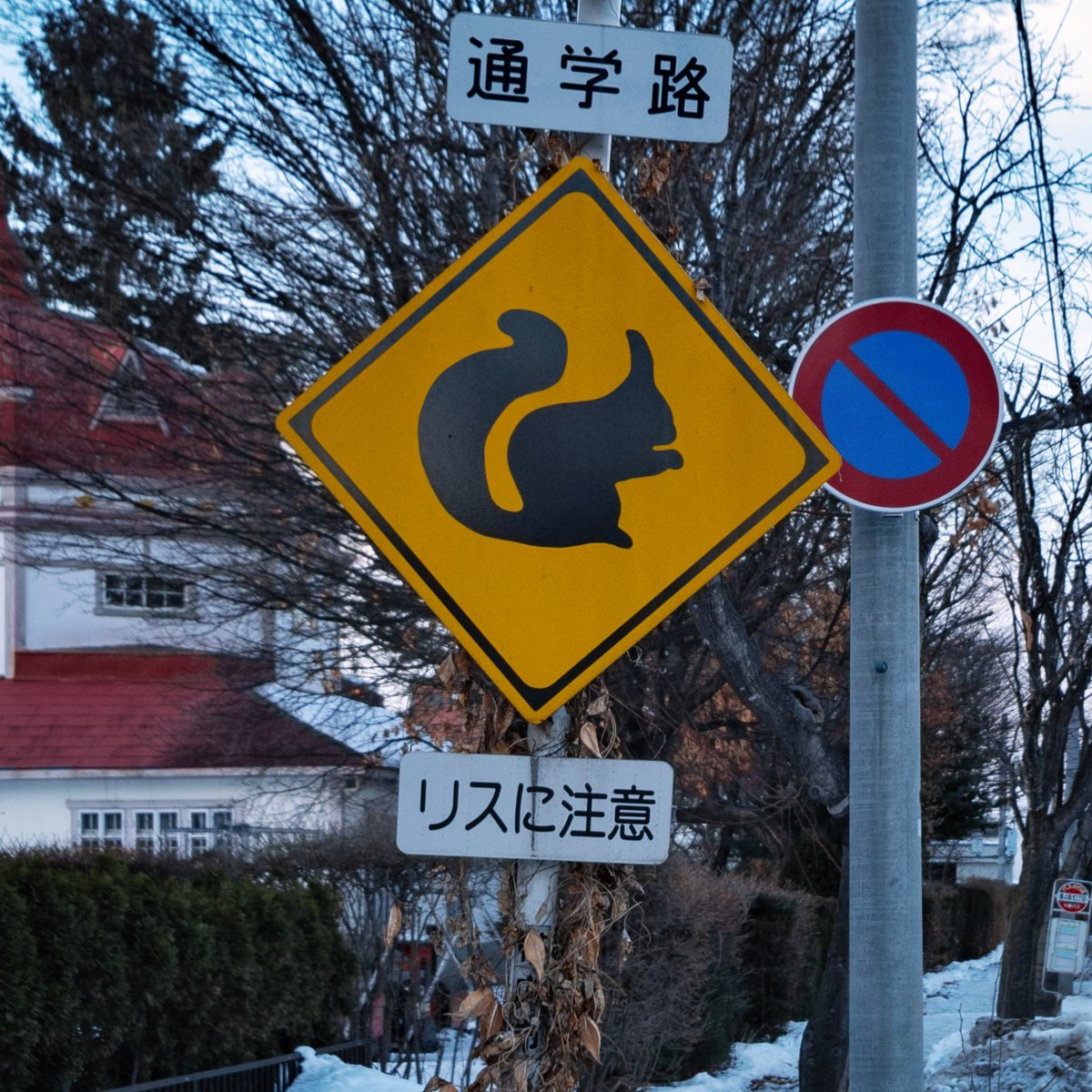 するめ (@ksurumet) / Posts / X