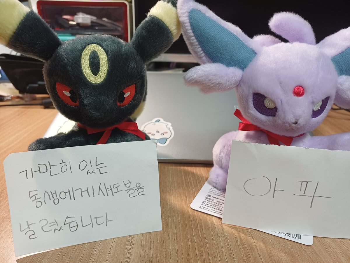 주인장: 타입 상성을 외우겟습니다