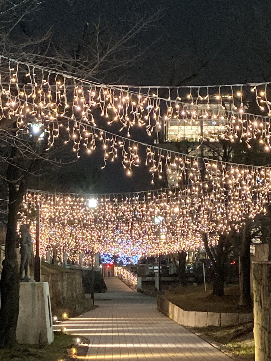 officekumahige's tweet photo. #本日のラン〜#ガチゆる
アップ 約2.6km 14分26秒 平均5分31秒/km
ガチ 約1km 4分03秒
ゆる 約11.7km 1時間16分52秒 平均6分36秒/km
今日も日没前後にガチゆる。
そんなに寒くなくて良かった〜。
#さくら通り #安威川 #ランプラ #今月も100km突破 #asics #MAGICSPEED4 #厚底シューズ https://t.co/VDjk58EI3s