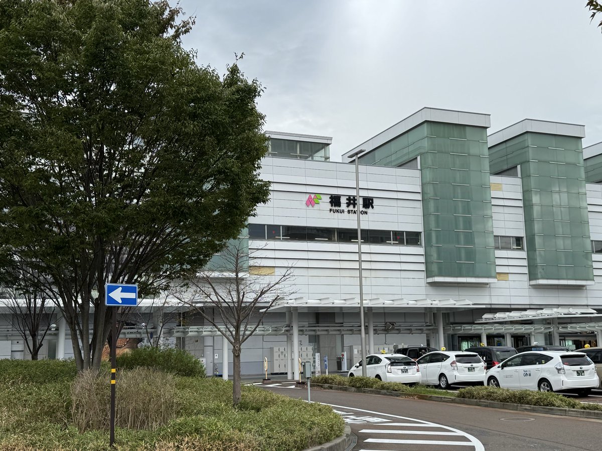 ゴリラ🦍🦖 tweet media