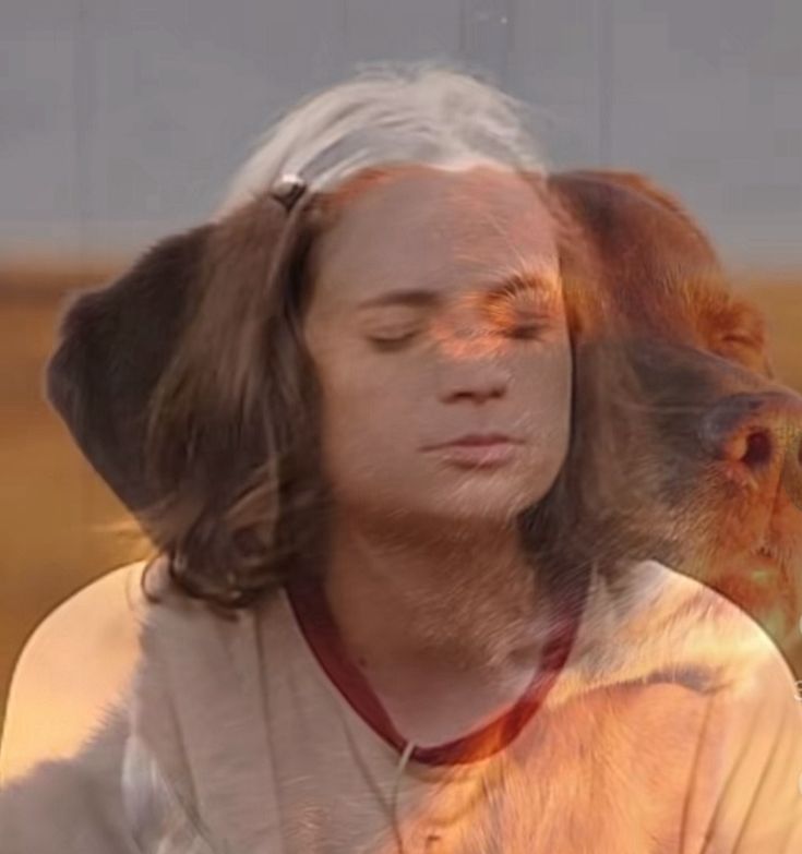 sillylittlepal's tweet image. my collection is growing