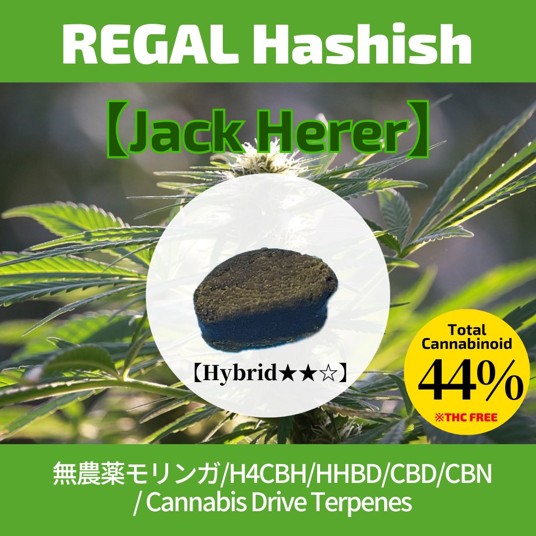 REGAL道場 tweet media