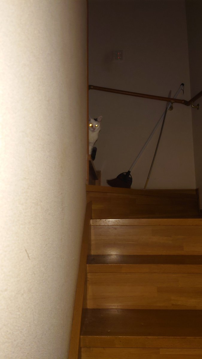 だからその真っ赤な口紅とか化け物みたいなカラコンとか首から色違いみたいな厚化粧やめてもらえるかな！似合ってないからさ！

(…って思ってるけど口には出さないでおこう)