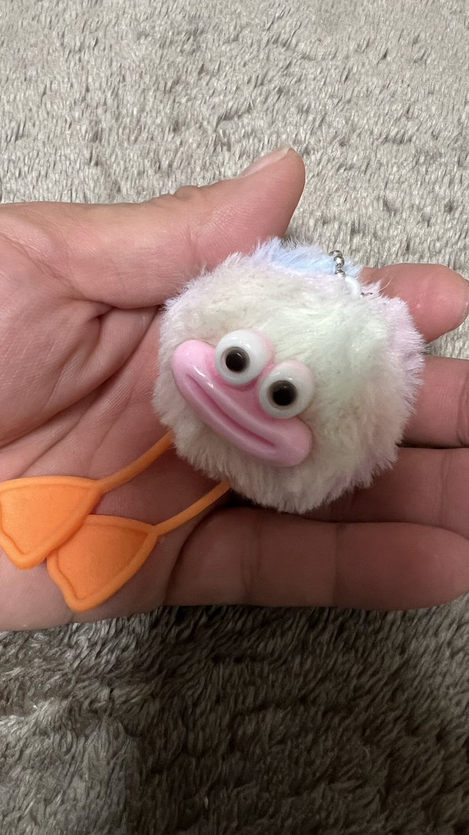 こだま（釣りよかでしょう。） (@ikagamidenai) / Posts / X