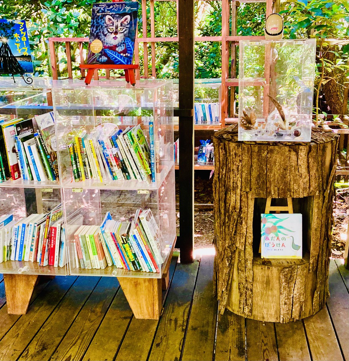 サクラ (@sakura349468) / Posts / X