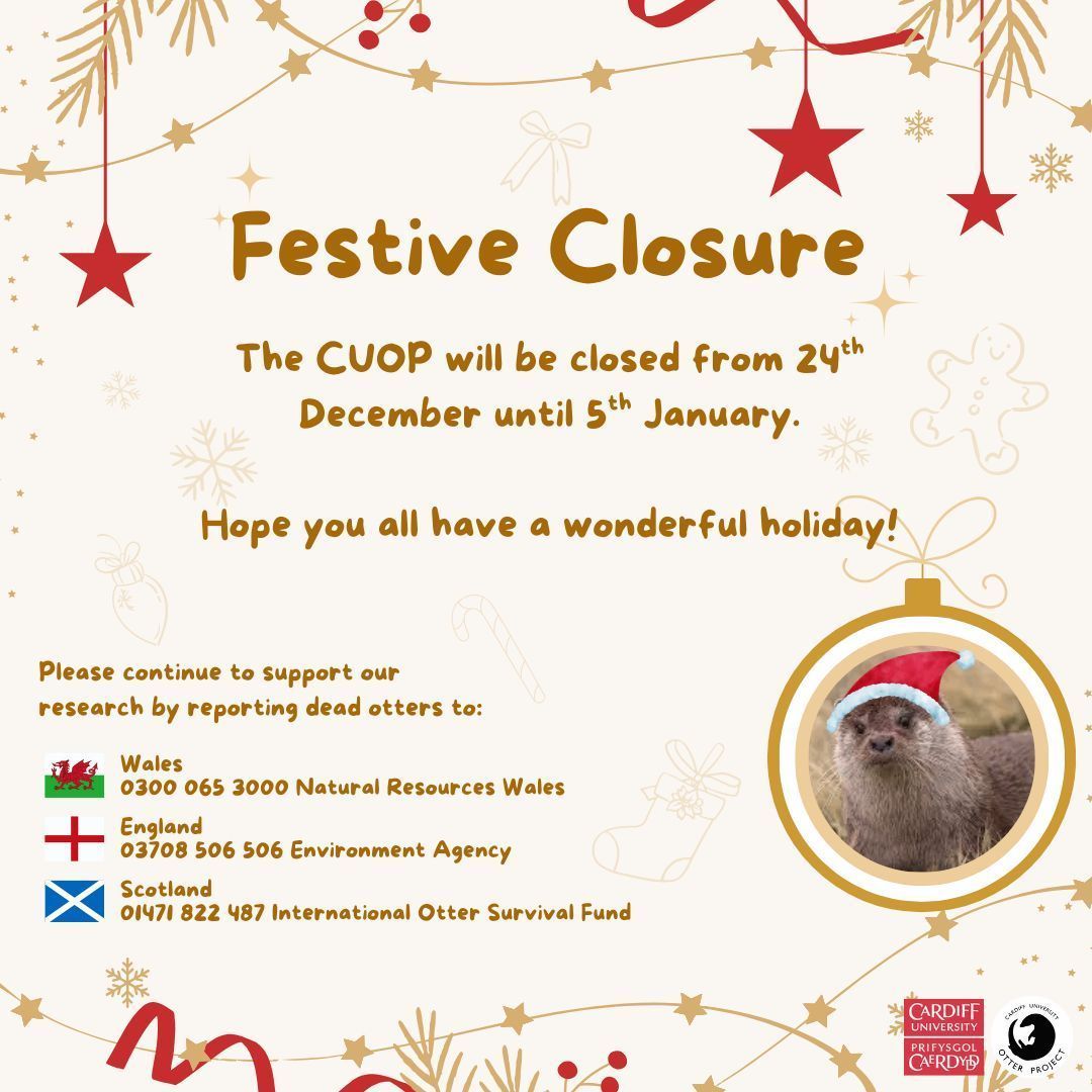 Otter Project tweet media