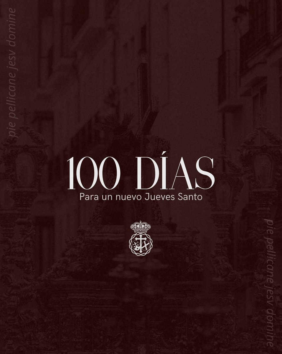 Misericordia Málaga tweet media