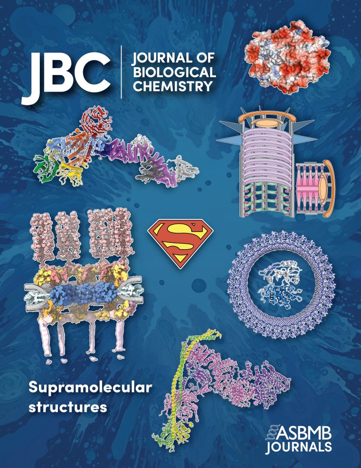 jbiolchem's tweet image. Structural biology is evolving fast! To spotlight this exciting progress, @jbiolchem associate editors curated a thematic review series on supramolecular structures: ow.ly/yWIc50XveNB. 
#JBiolChem #ASBMBJournals