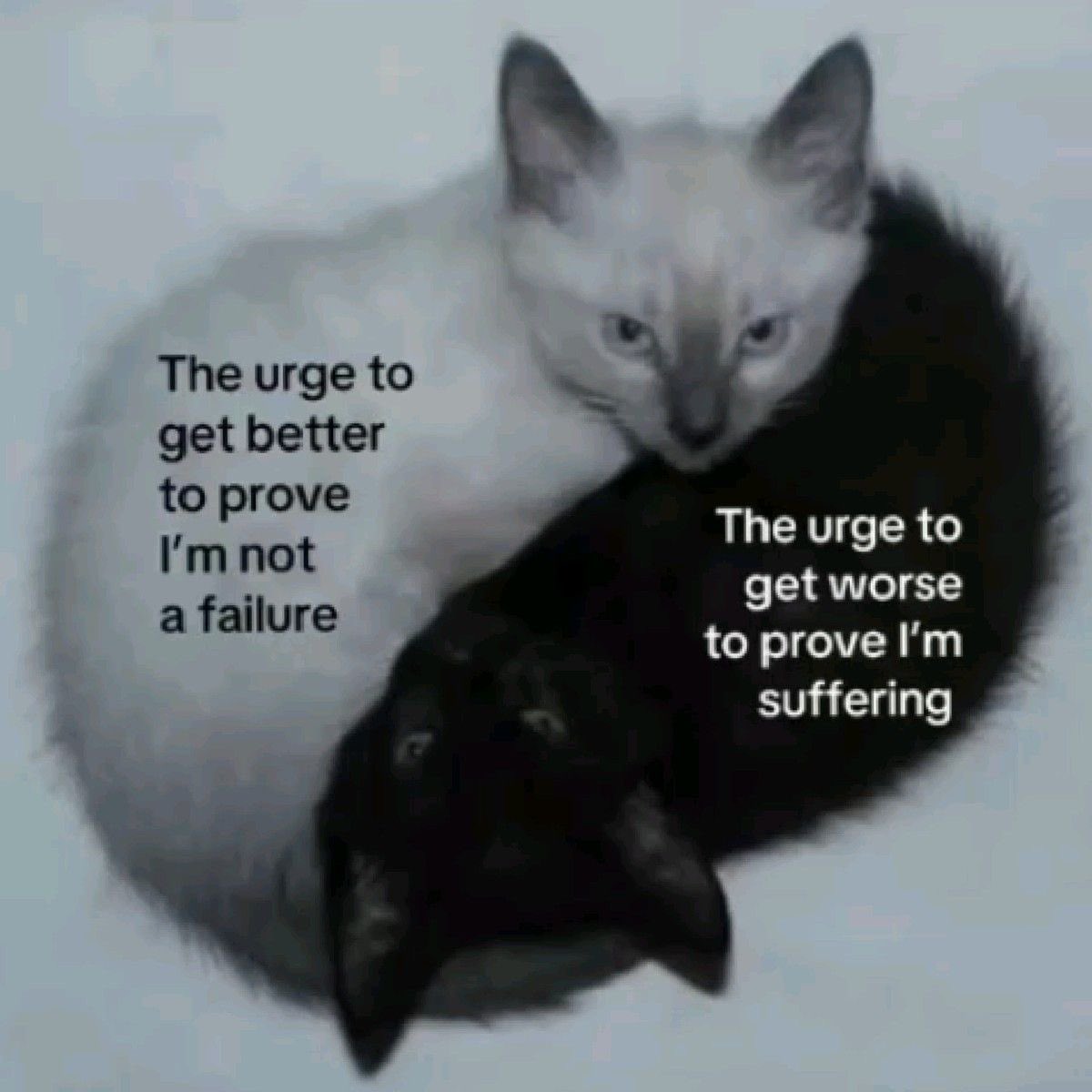 abrokensouI's tweet image. 