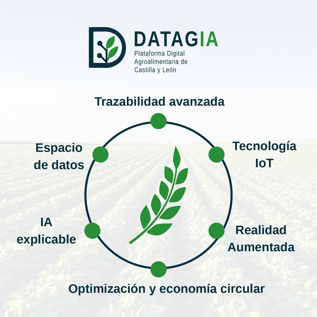 ITACYL's tweet image. #DATAGIA, la plataforma de digitalización del sector agroalimentario de Castilla y León está compuesta por los siguientes módulos:

- Trazabilidad avanzada
- Tecnología IoT
- Realidad Aumentada
- Optimización y economía circular
- #IA explicable 
- Espacio de datos