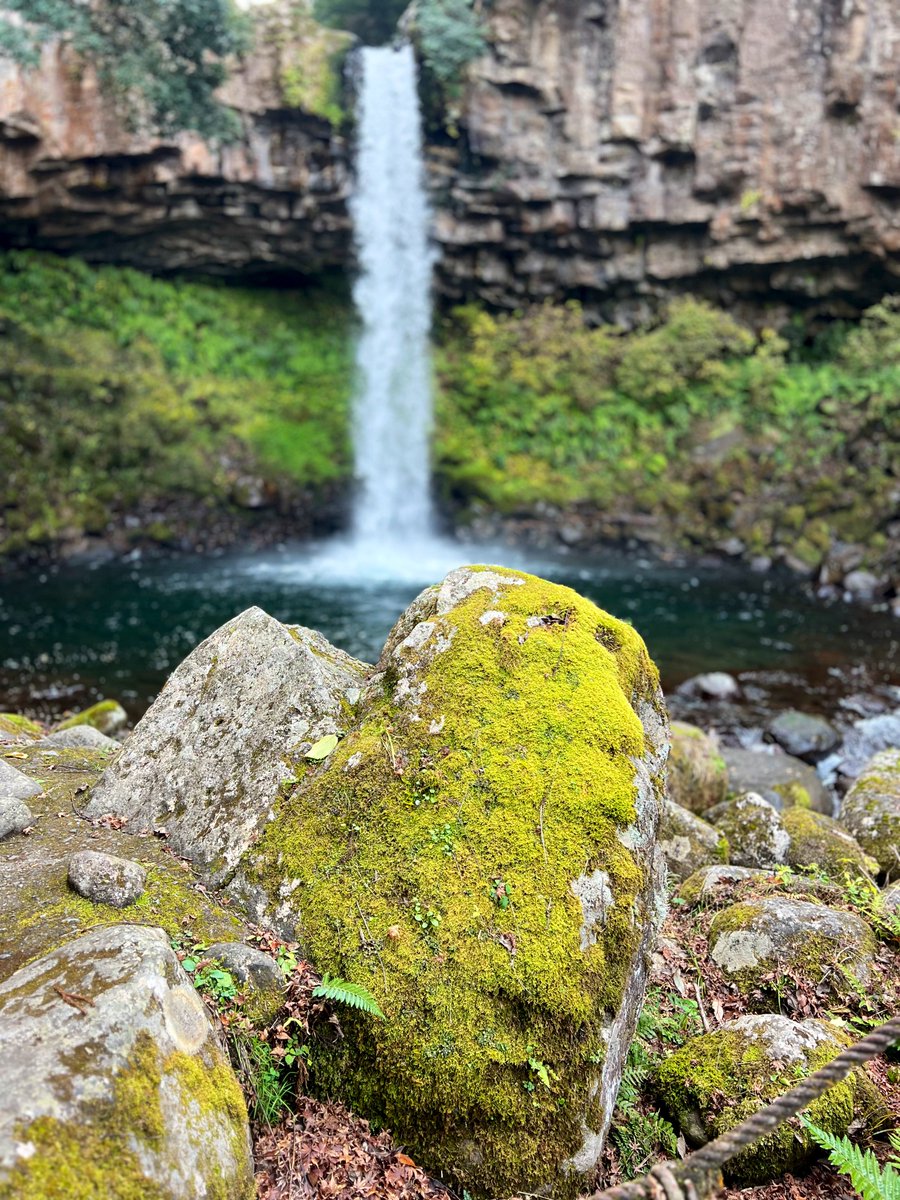 NY channel (@NYchannel73) / Posts / X