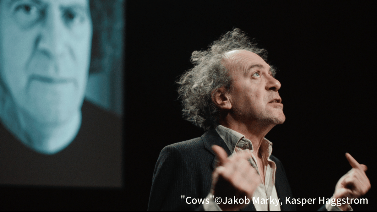 sn0wcollective's tweet photo. 第18回みゆき野映画祭in斑尾  

上映予定2026/2/14/17:00-21:00   

牛

監督Jakob Marky, Kasper Haggstrom / スウェーデン＆ノルウェー / 2025 / 11分 / スウェーデン語 / 字幕：日本語･英語

画期的な仮説を発表する人気の哲学者に教授たちは興奮し狂するが。権威に盲目的に従うことの危険性を描く https://t.co/iR5NHeYszH